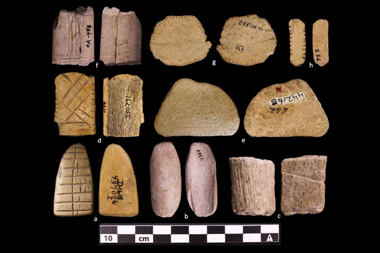 Are these the earliest known dice in the world? Native Americans may ...