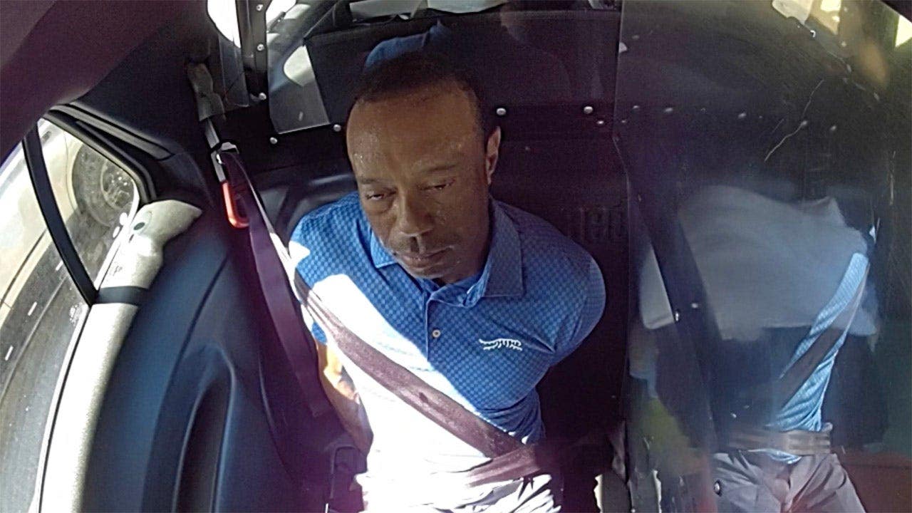 Tiger Woods utters sarcastic 3-word remark after getting placed in back of cop car during DUI arrest<br>