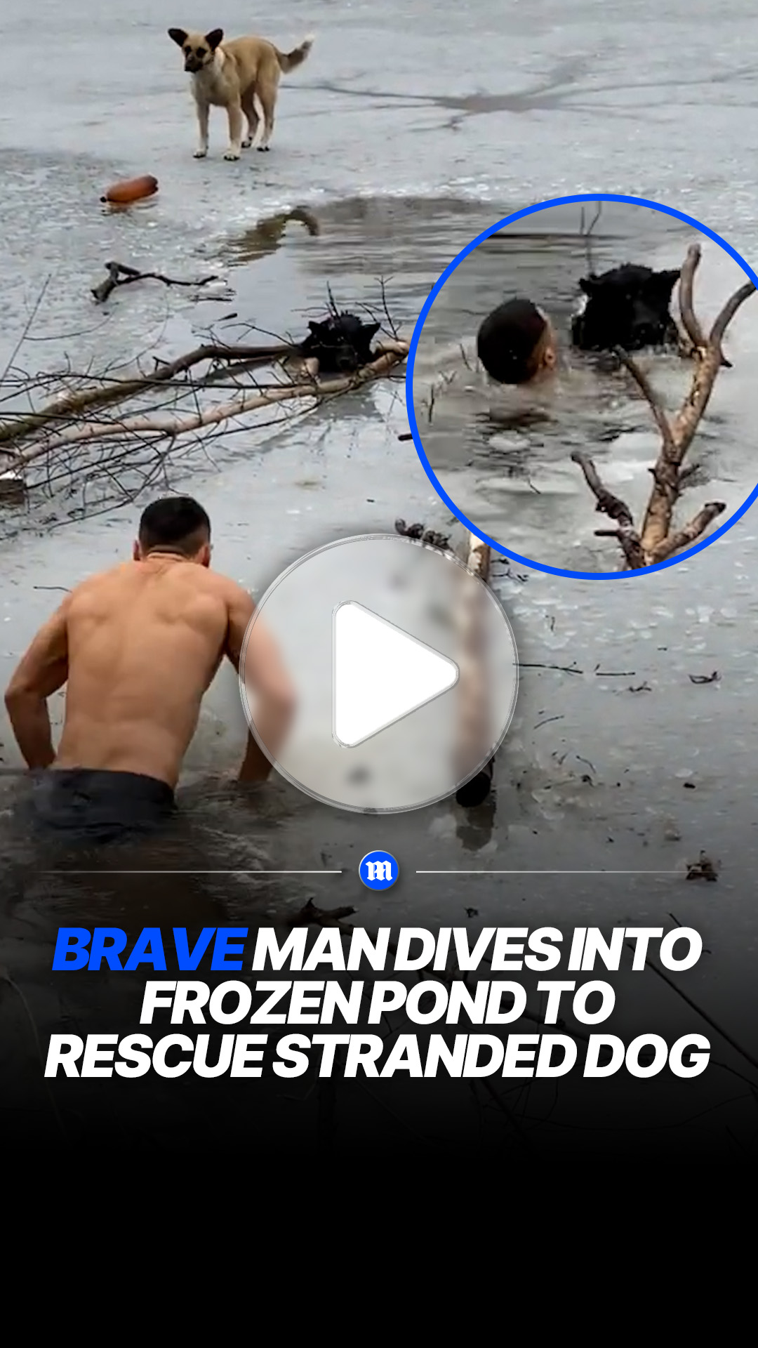 Man dives into icy river to rescue stranded dog