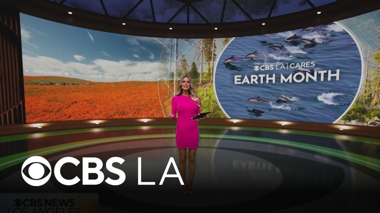 The difference between weather and climate
