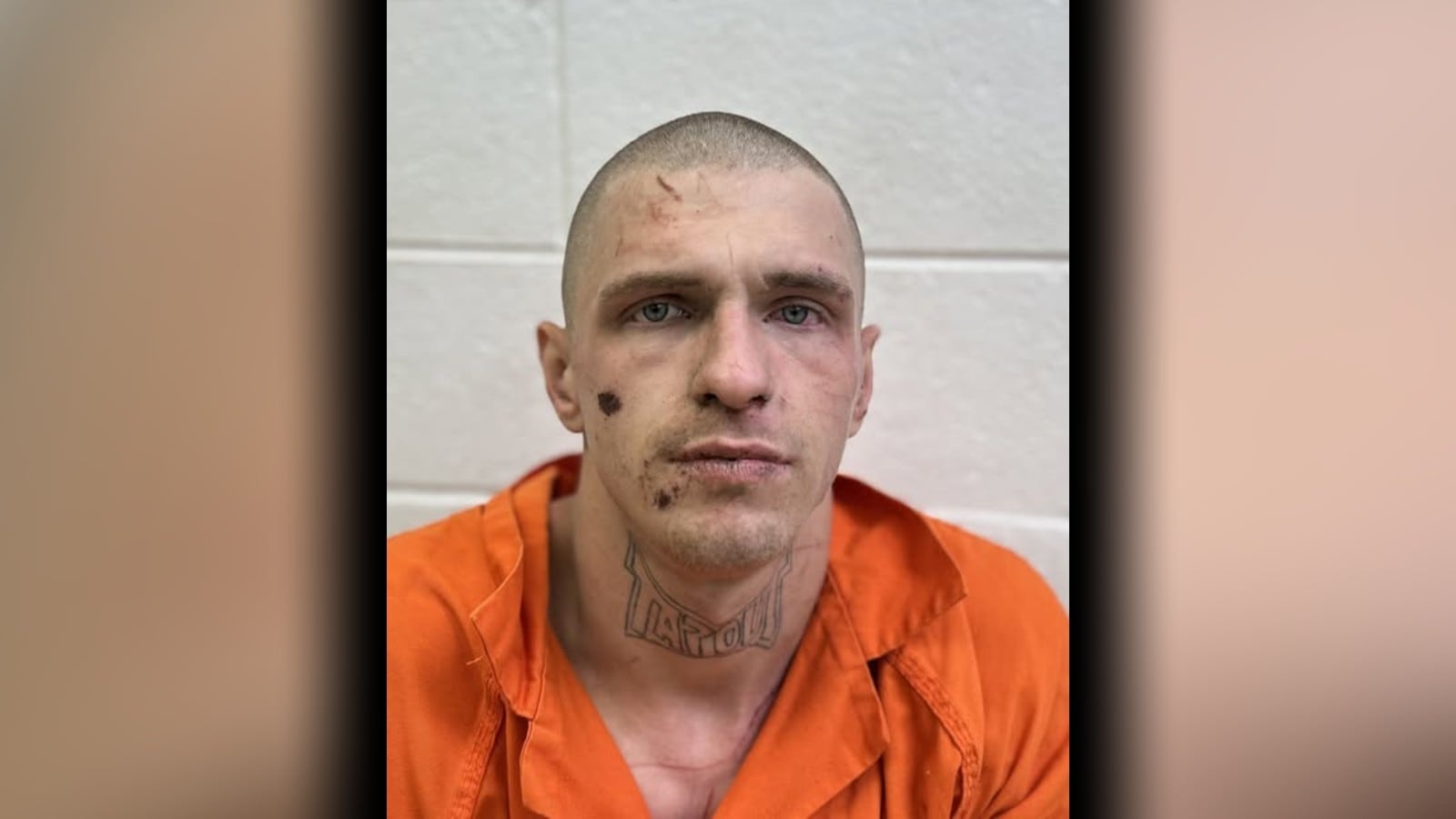 Man accused of stealing 5 vehicles, leading police on multiple chases ...