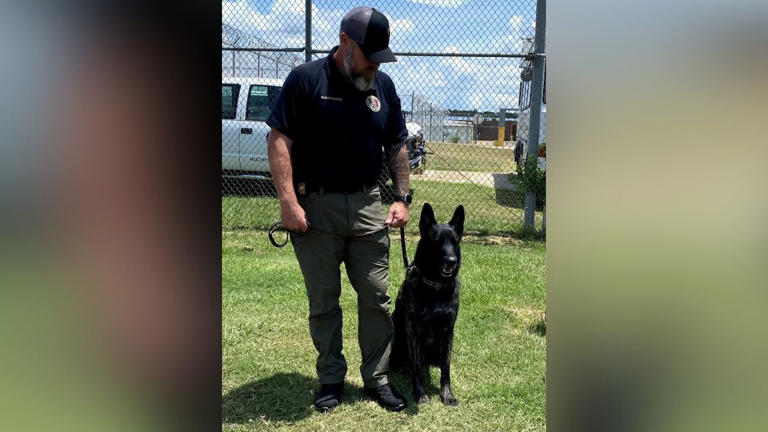 Police K-9 found shot to death at Marshall Co. prison; MBI investigates