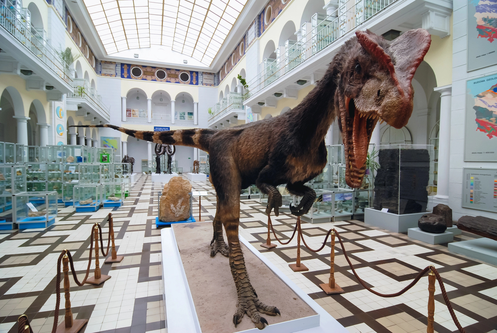 16 museums showcasing Raphael and Renaissance art