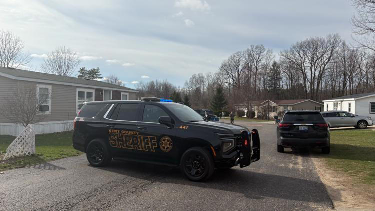 3-year-old killed after being hit by pickup truck in Cedar Springs