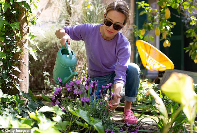 Spring has sprung! Experts reveal the garden tasks to do in April
