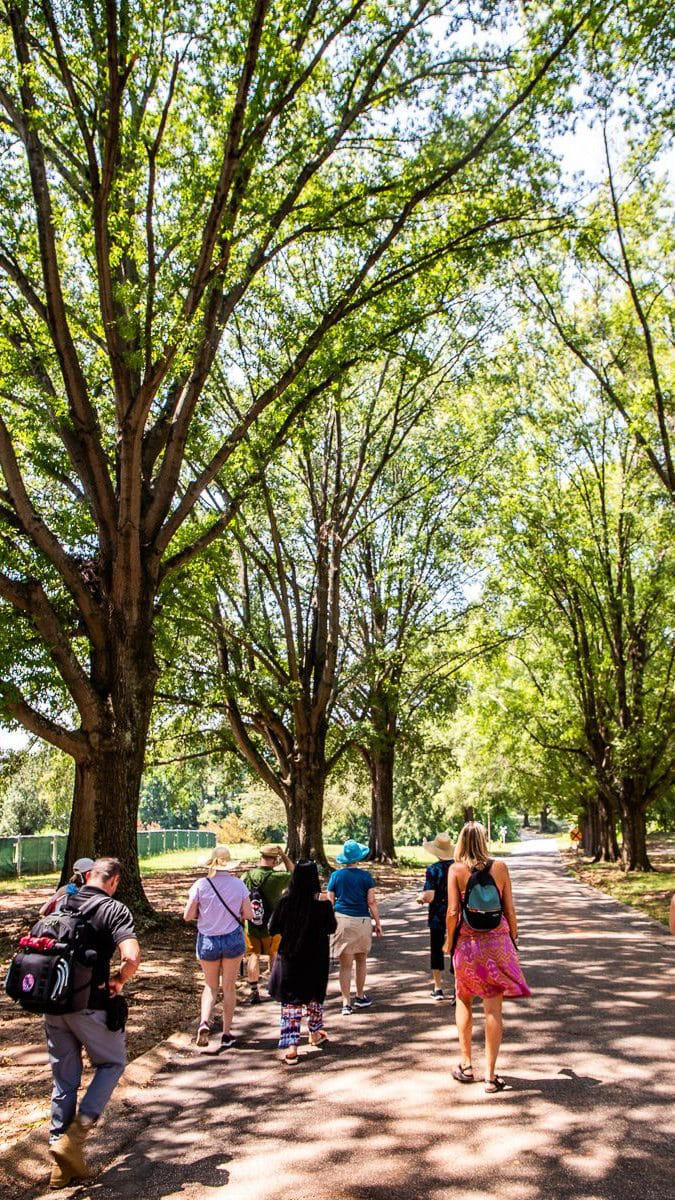 29 top Raleigh NC attractions and landmarks not to miss