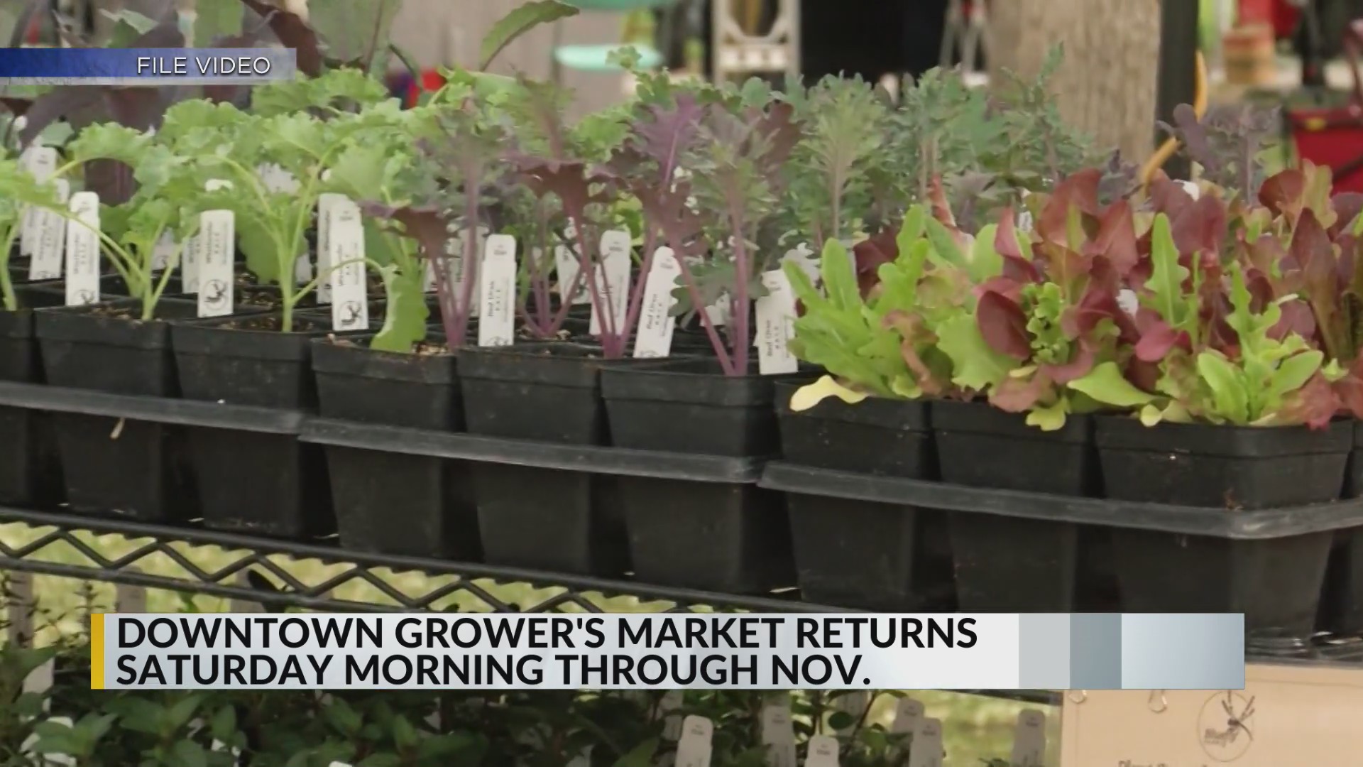 Downtown Growers' Market in Albuquerque kicks off 2026 season on Saturday