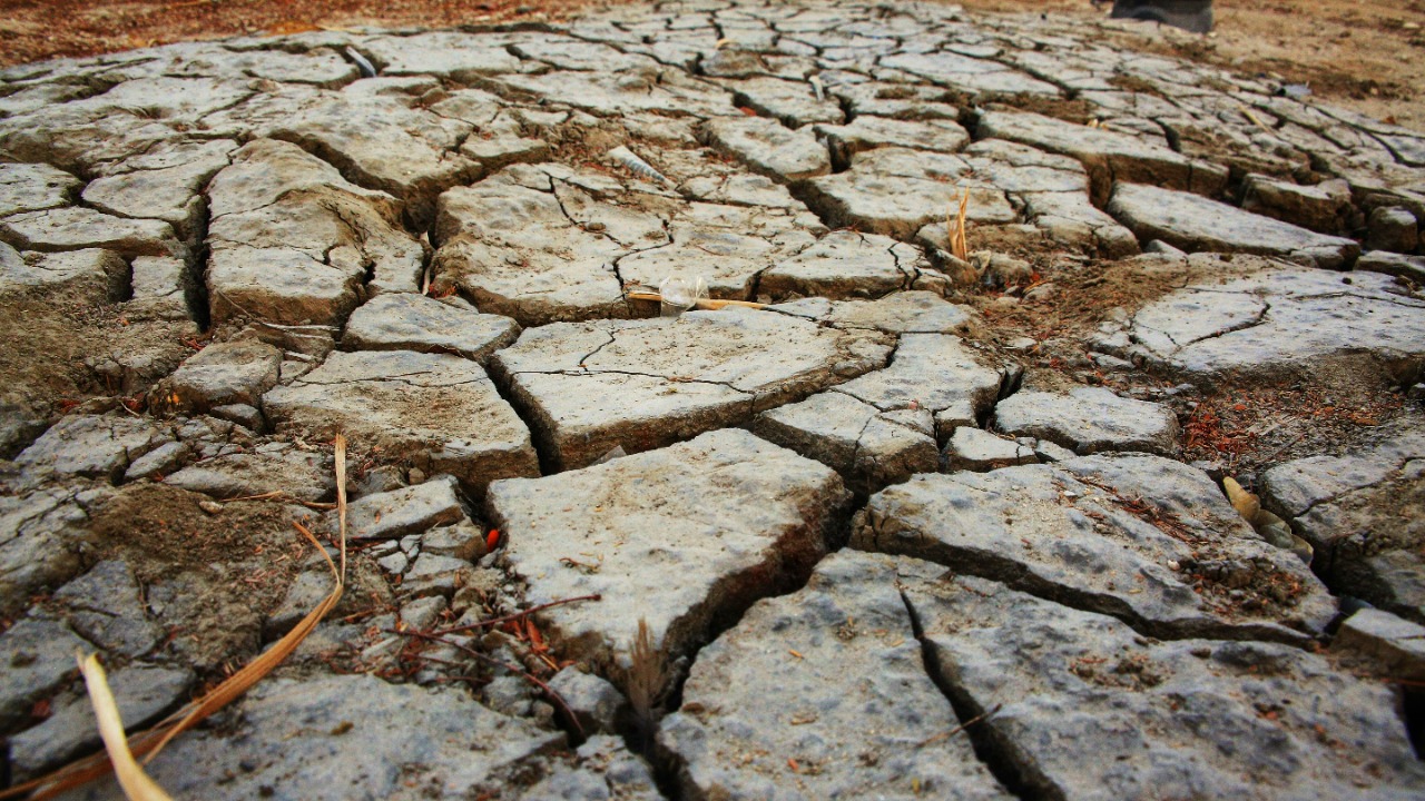 New AI model aims to improve seasonal drought forecasts