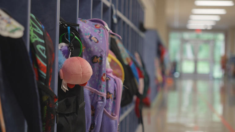 MN sees record-high graduation rates for second year in a row