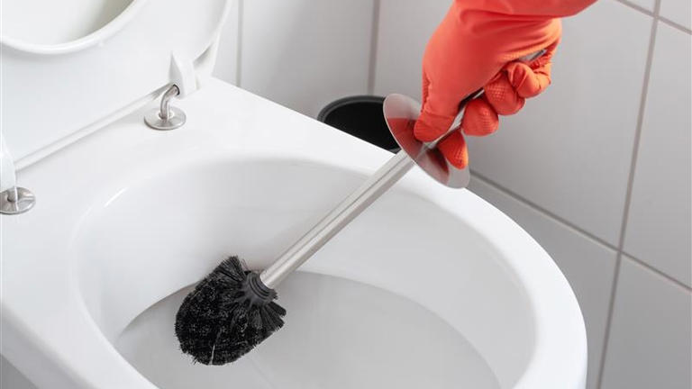 How often should you change your toilet brush?