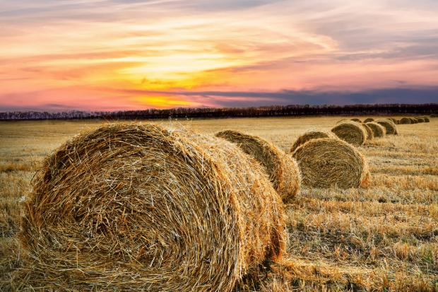 Artificial intelligence already transforming agriculture, says Snaith firm