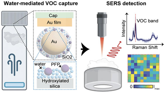This new sensor could sniff out pneumonia on a person's breath
