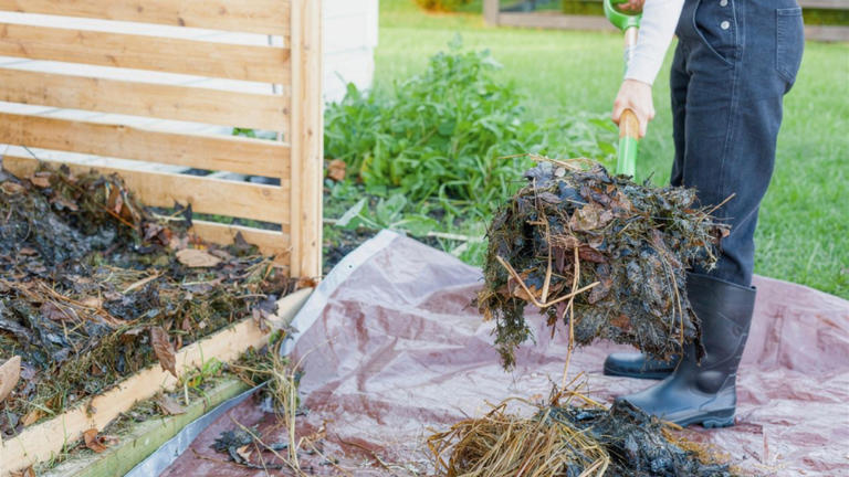 I put the compost pile too close to the back door and smelled the ...