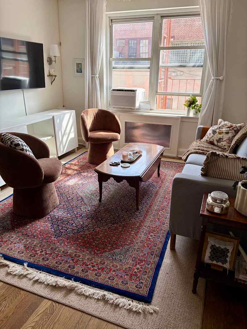 Cozy living room with a brown chair, gray sofa, round coffee table, and a colorful area rug. Natural light from large windows.