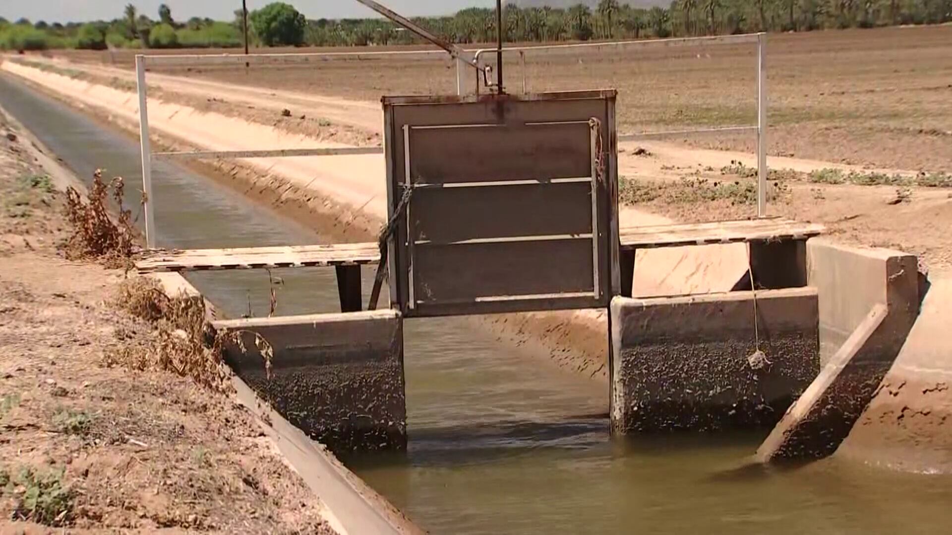 As drought deepens, Yuma area embraces new technology to save water