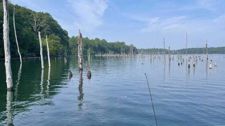 New Jersey's deepest artificial lake is a lovely haven for fishing ...