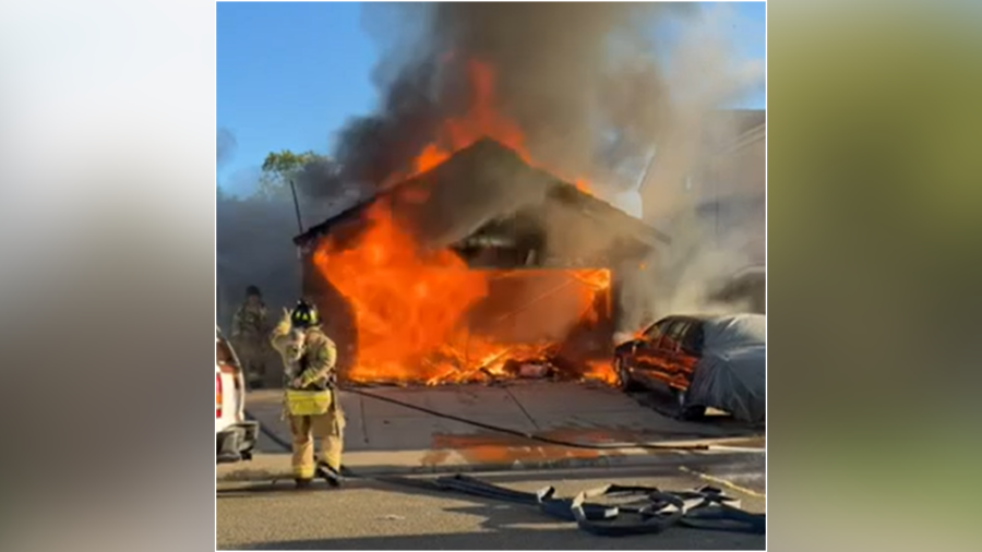 2 dogs, reptiles rescued from intense Sacramento house fire