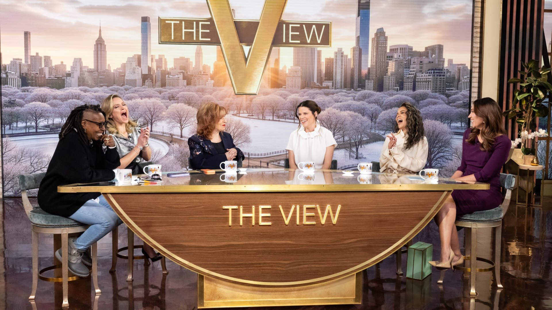 Why wasn't 'The View' on today and when will the show return?