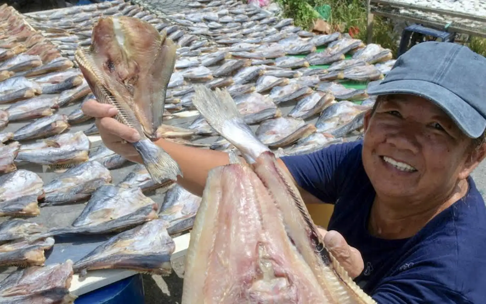 Heatwave turns to harvest for Balik Pulau salted fish, belacan makers