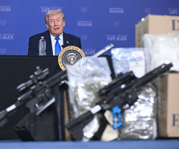 Trump budget targets gun rules, protects rights