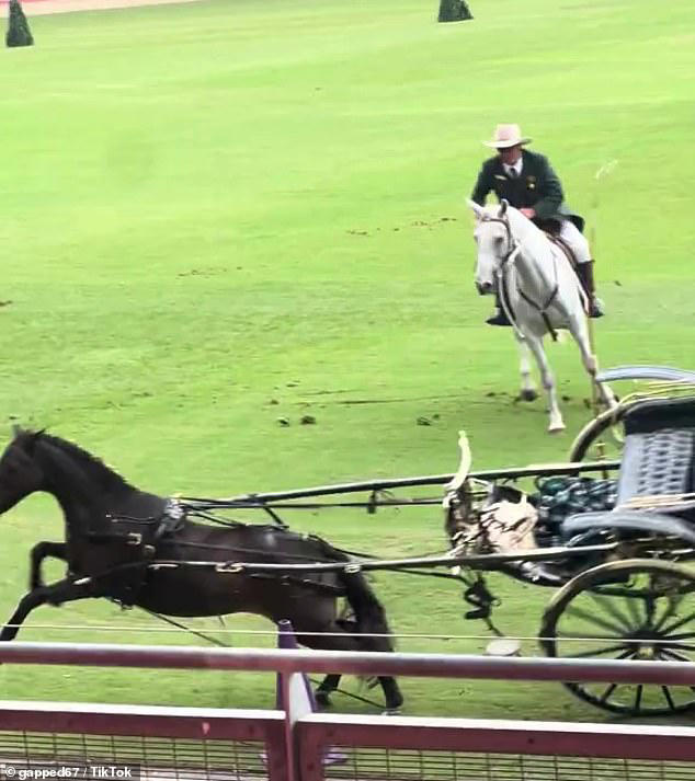 Earlier in the day, a distressed harness horse was seen running around the showground arena before its cart toppled over