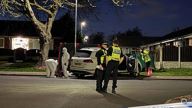 Man and woman arrested on suspicion of murder after pedestrian hit and ...