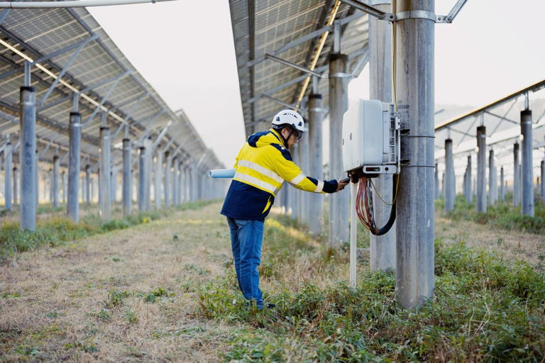 Programadores, científicos y expertos en energía destacan como perfiles difíciles de sustituir por algoritmos