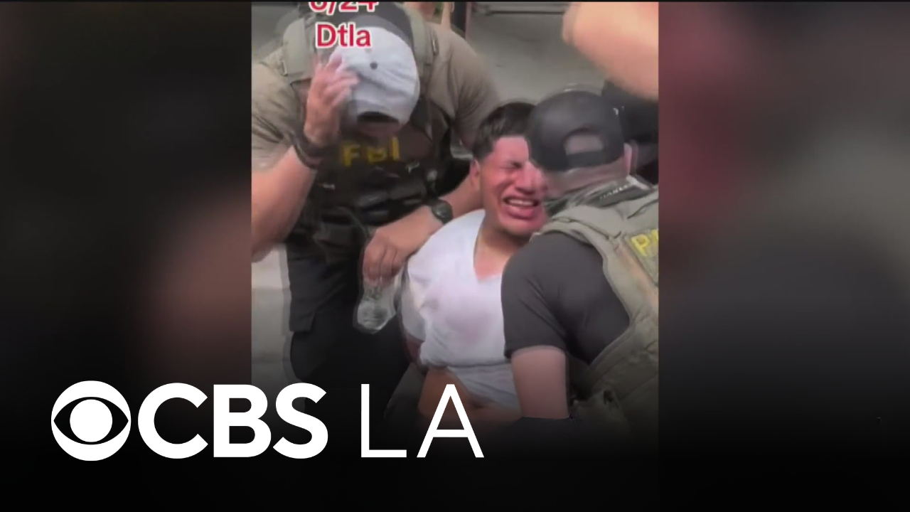 Man accused of punching ICE agent during downtown LA immigration sweep ...