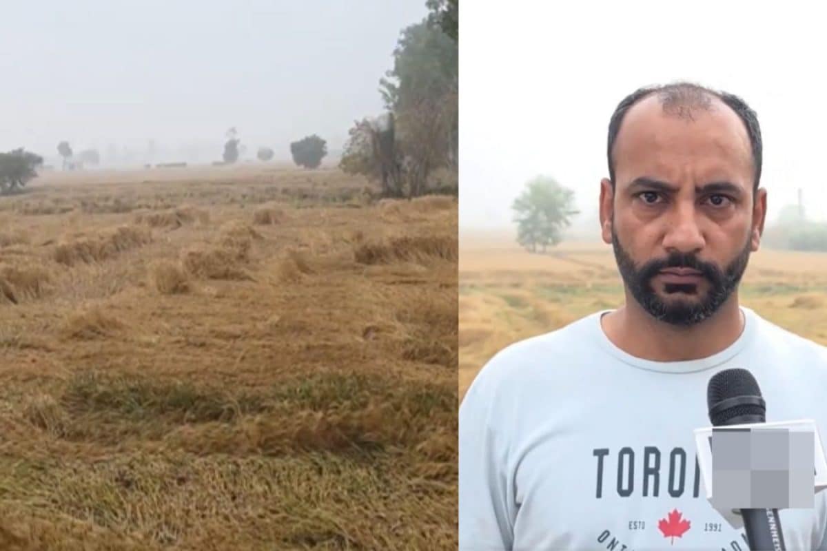 Unseasonal rain, hailstorm damage rabi crops in several states; farmers ...