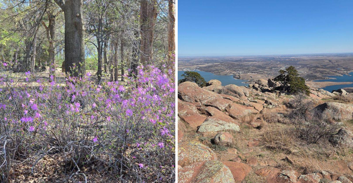 These 12 Oklahoma scenic trails and wildflower walks are the perfect ...