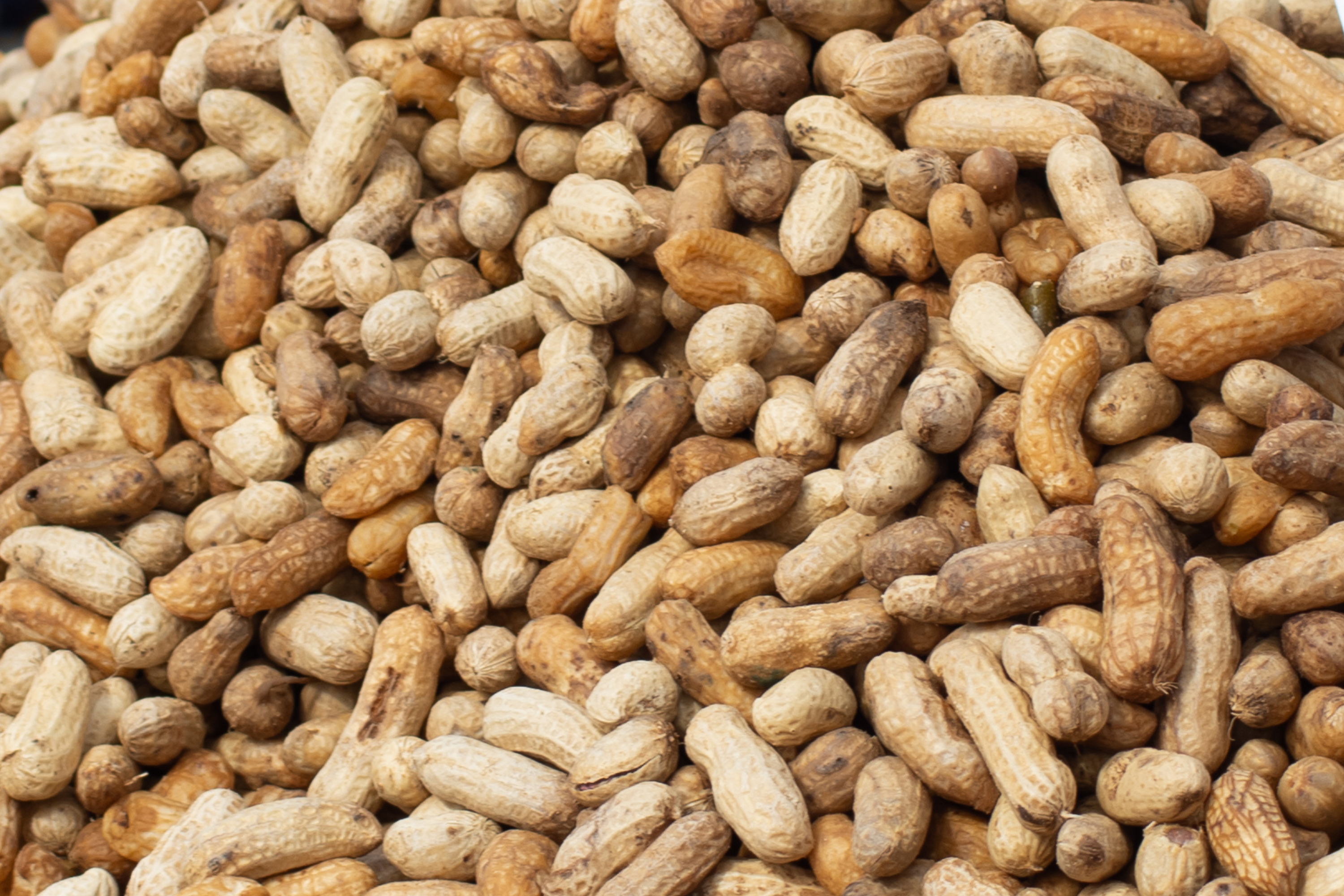 Peanut recall update for 19 states as FDA sets risk level<br><br>