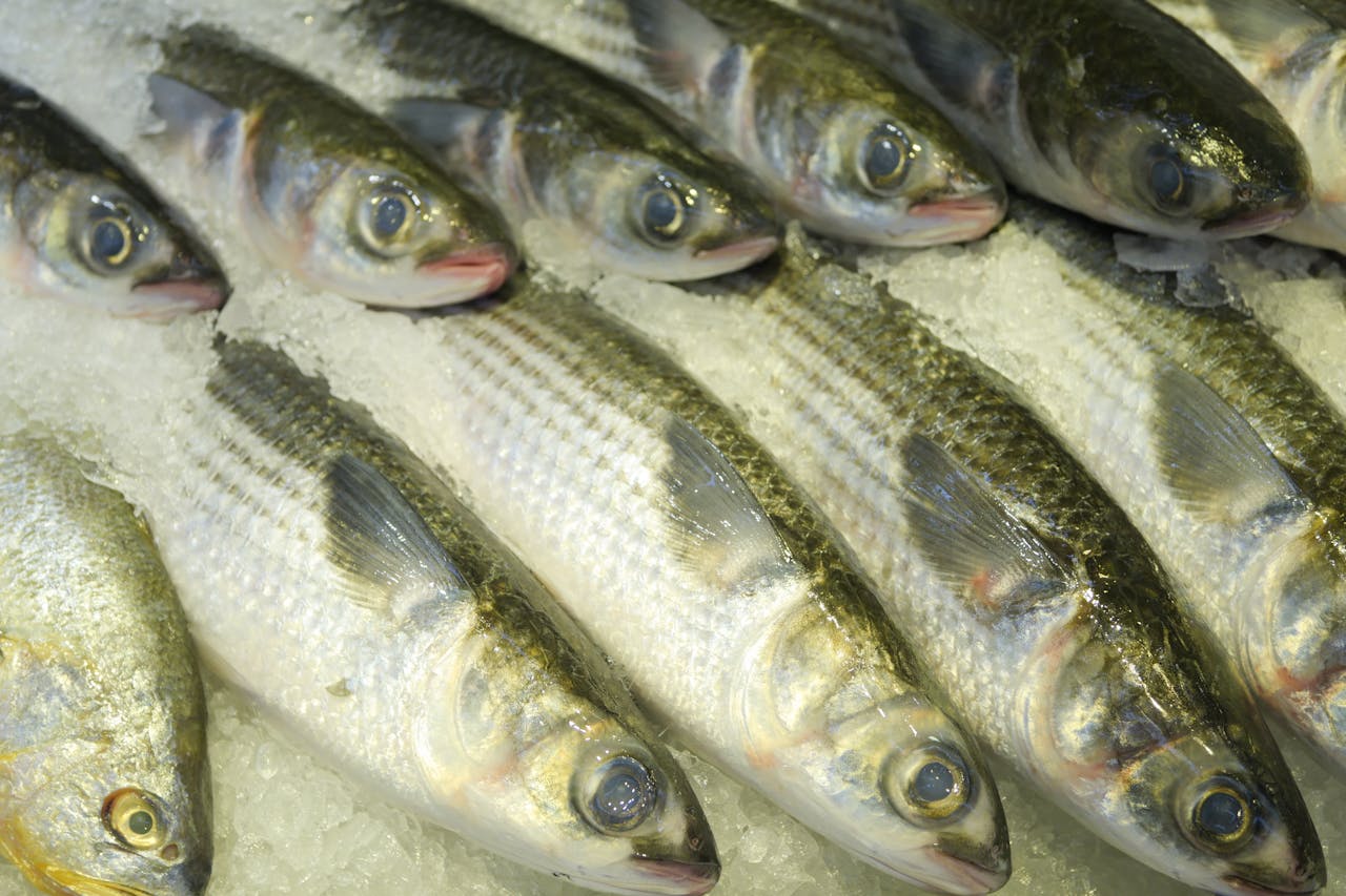 12 grocery items you should always buy frozen (not fresh)