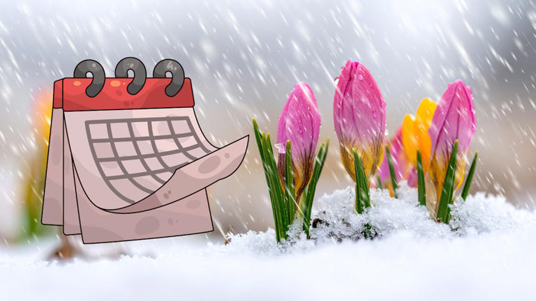 Spring reality check: April snowfall is normal in Canada