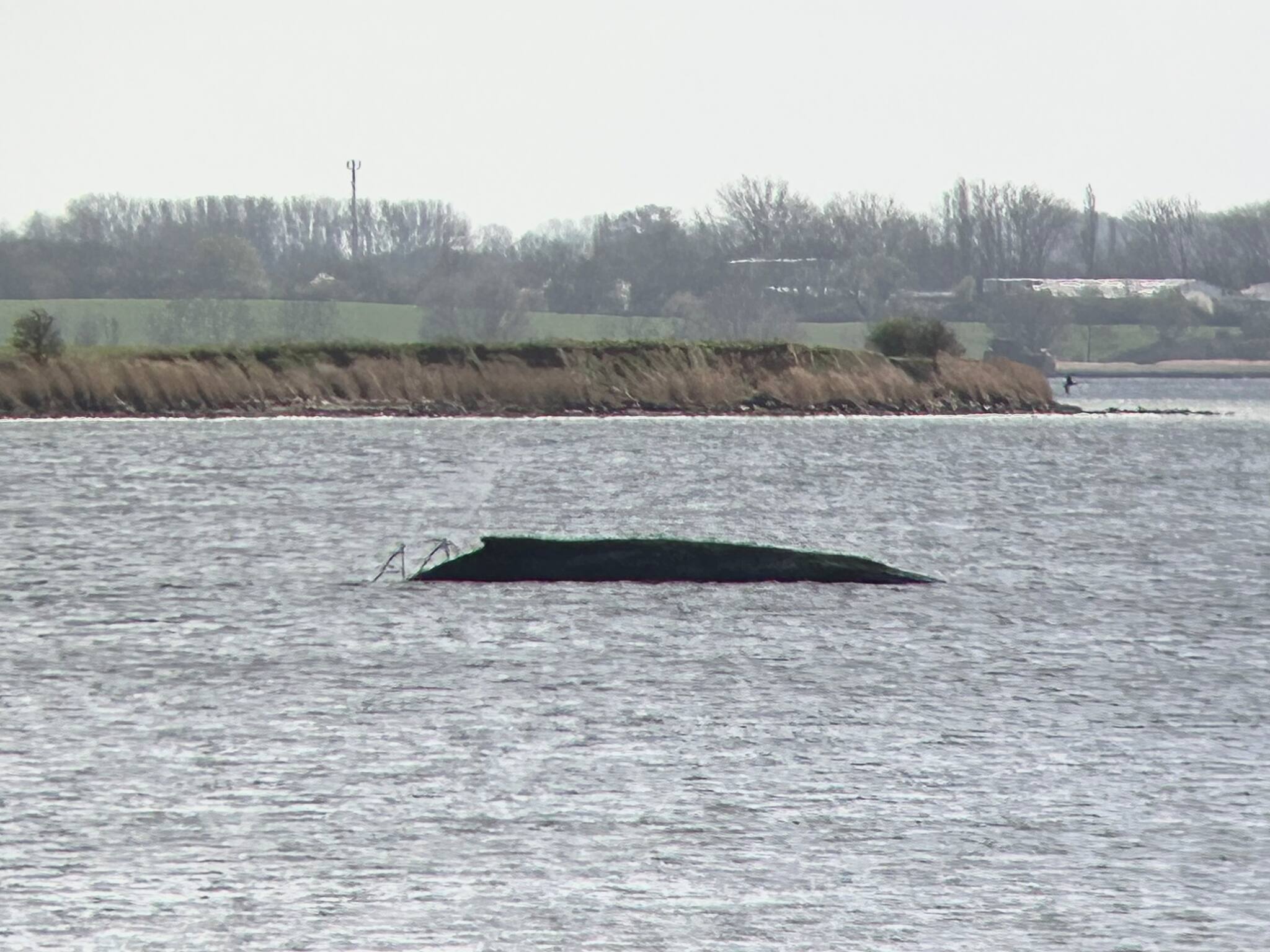 Stand am Ostermontag: Gestrandeter Wal vor Poel atmet noch regelmäßig ...