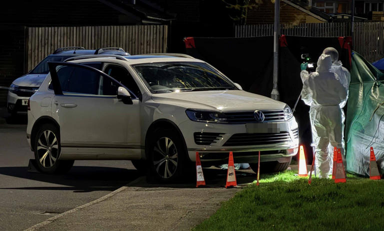 Man and woman arrested on suspicion of murder after pedestrian hit and ...