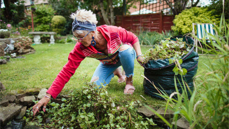 What you can no longer include in your garden recycling bin after new ...