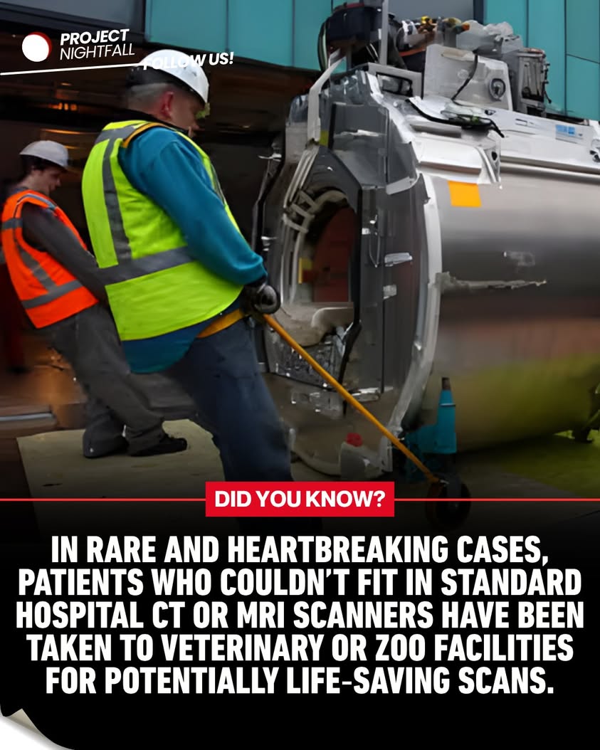 Too large to live? Hospitals deny critical scans, exposing deadly ...