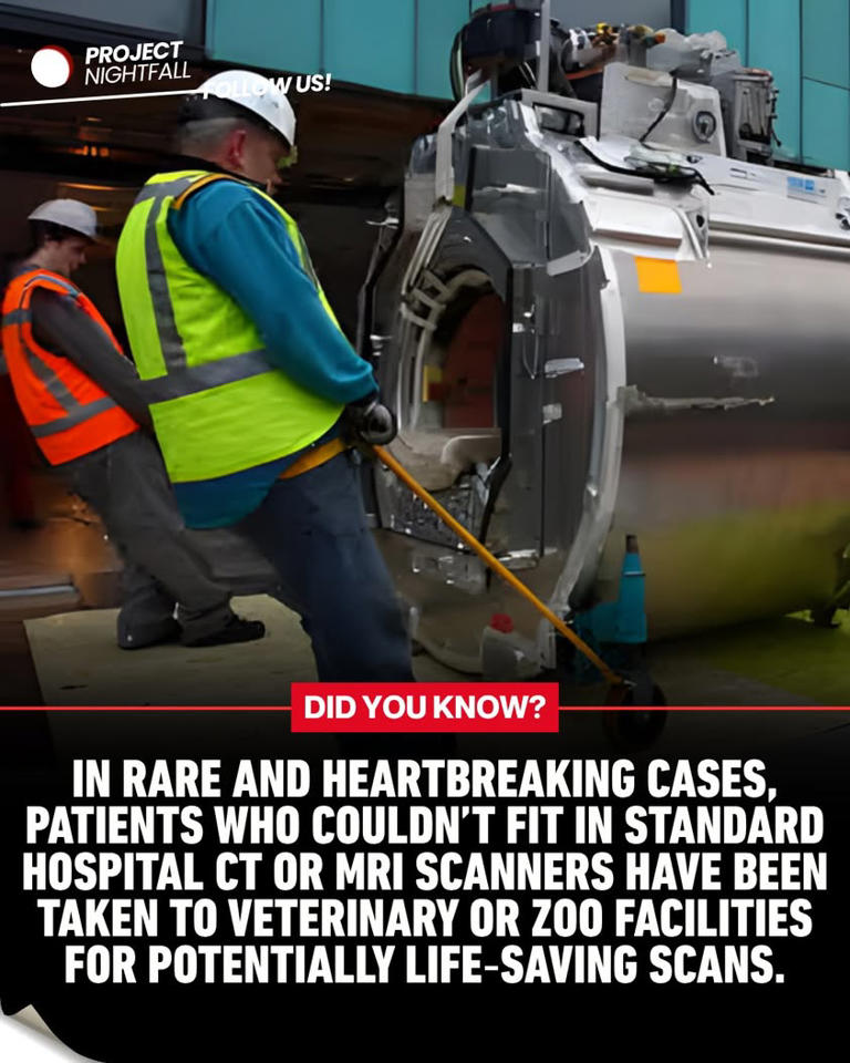 Too large to live? Hospitals deny critical scans, exposing deadly ...