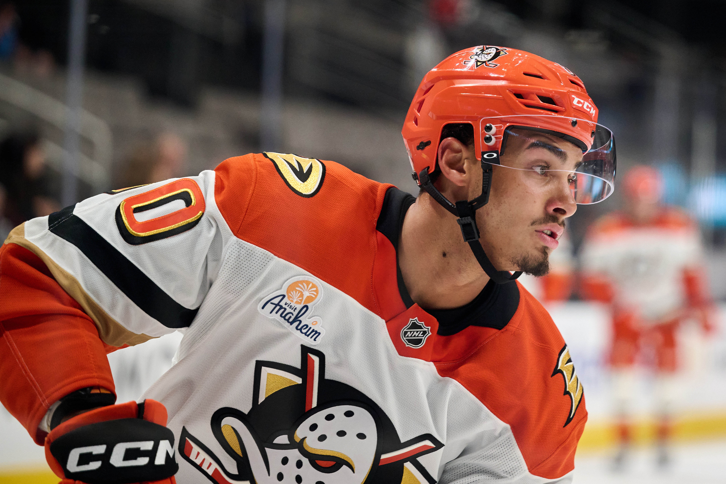 Ducks recall Tyson Hinds