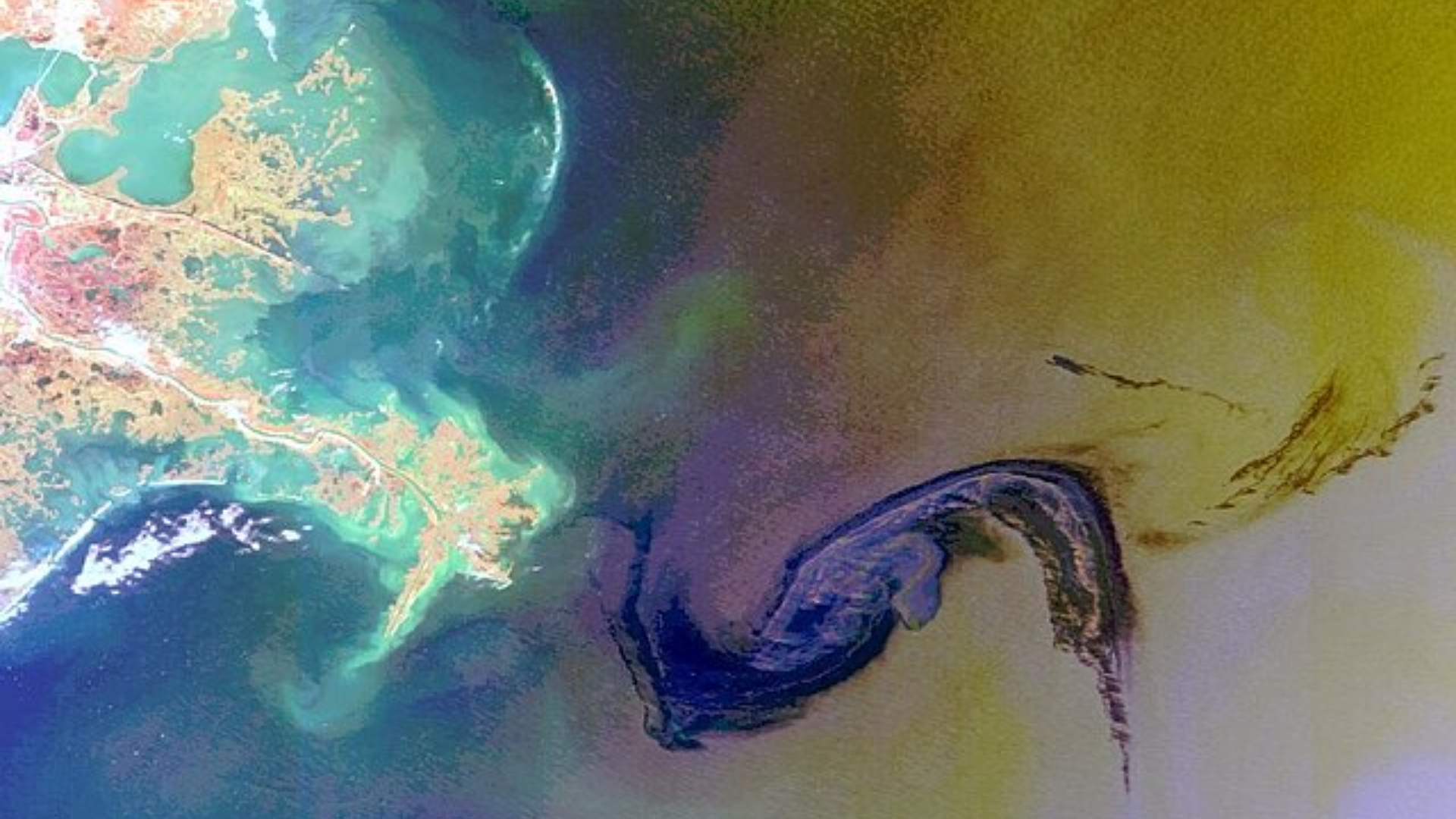 Scientists warn as Gulf oil spill spreads hundreds of miles ...