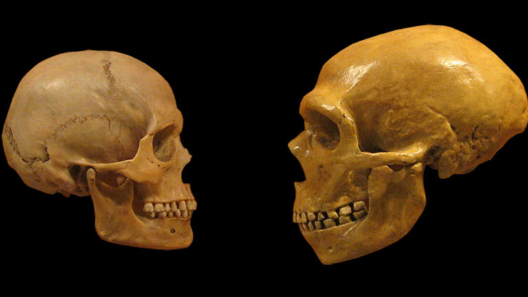 New DNA study reshapes the timeline of Neanderthals in Europe