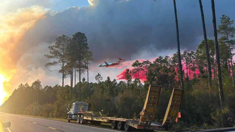 Sargent Fire now over 80% contained, Florida Forest Service says