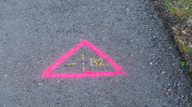 What to do if you find pink survey markings on your driveway