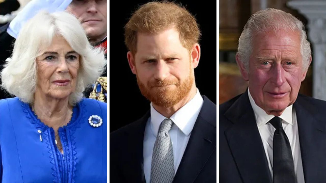 Prince Harry & Queen Camilla's relationship after UK visit
