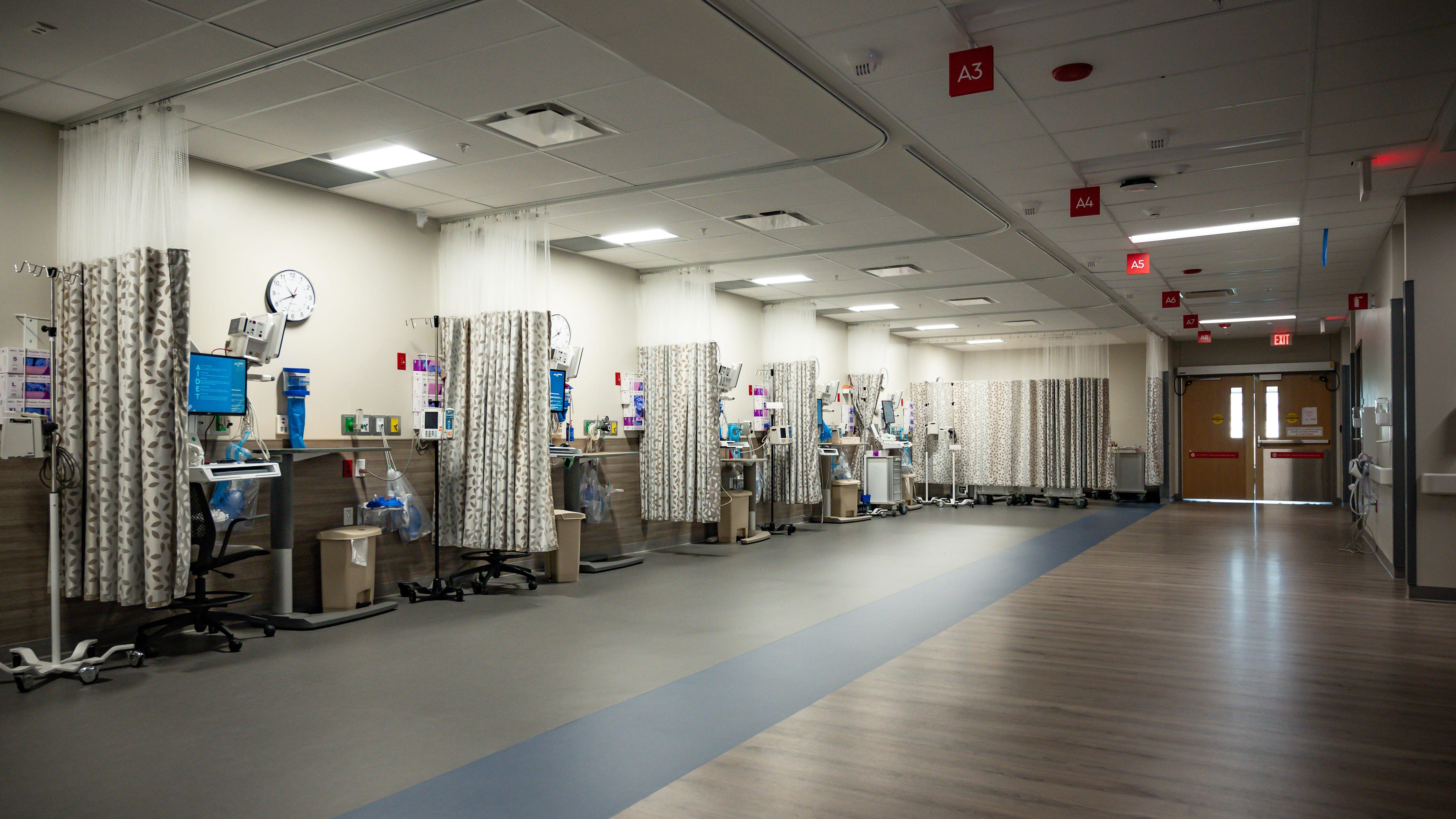 New cases of a deadly bacterial disease alarm doctors<br>