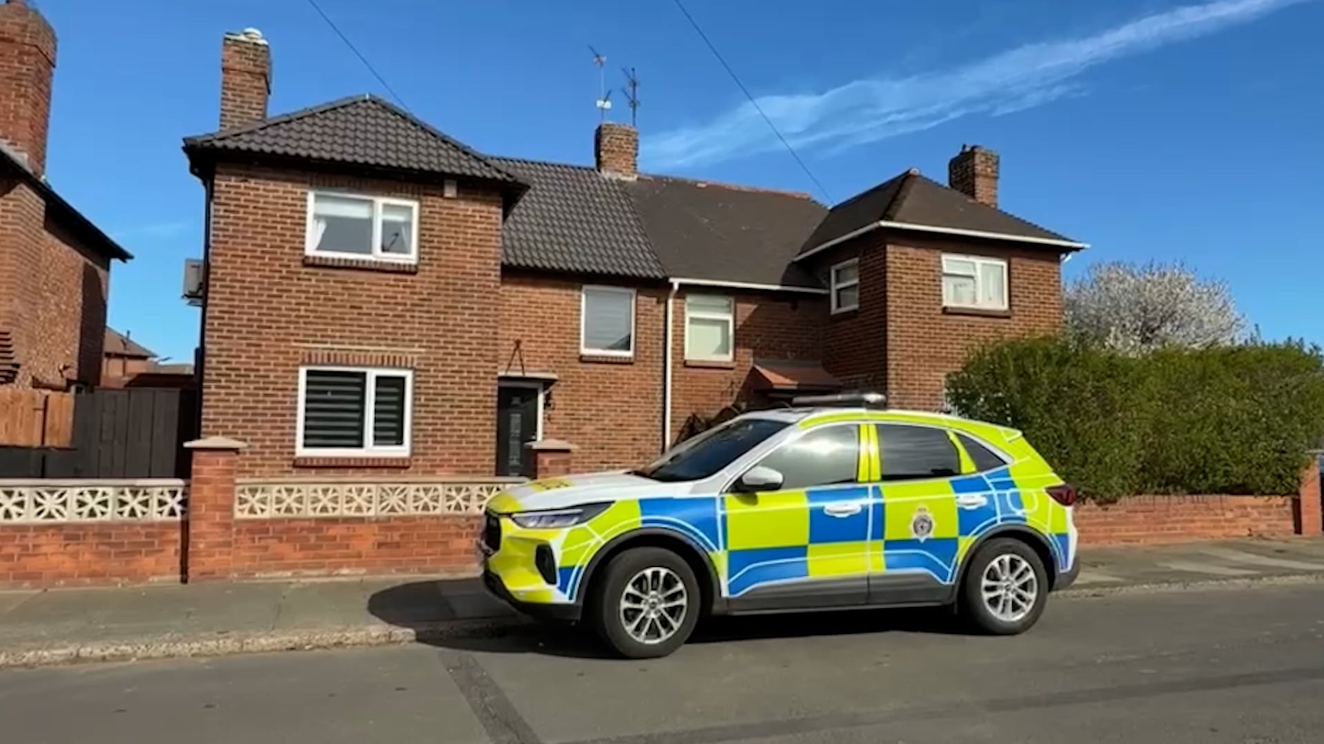 Child dies after being bitten in dog attack