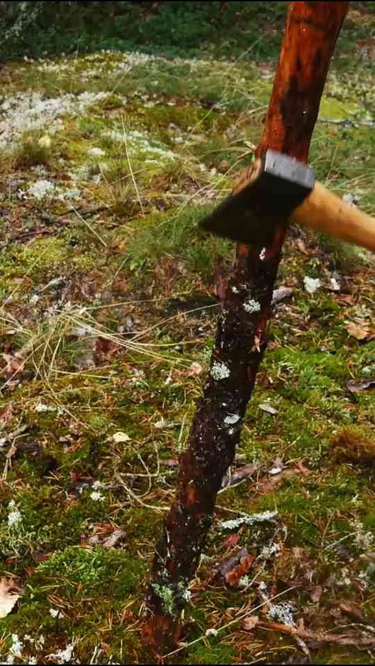 The unexpected joy of camping in the rain