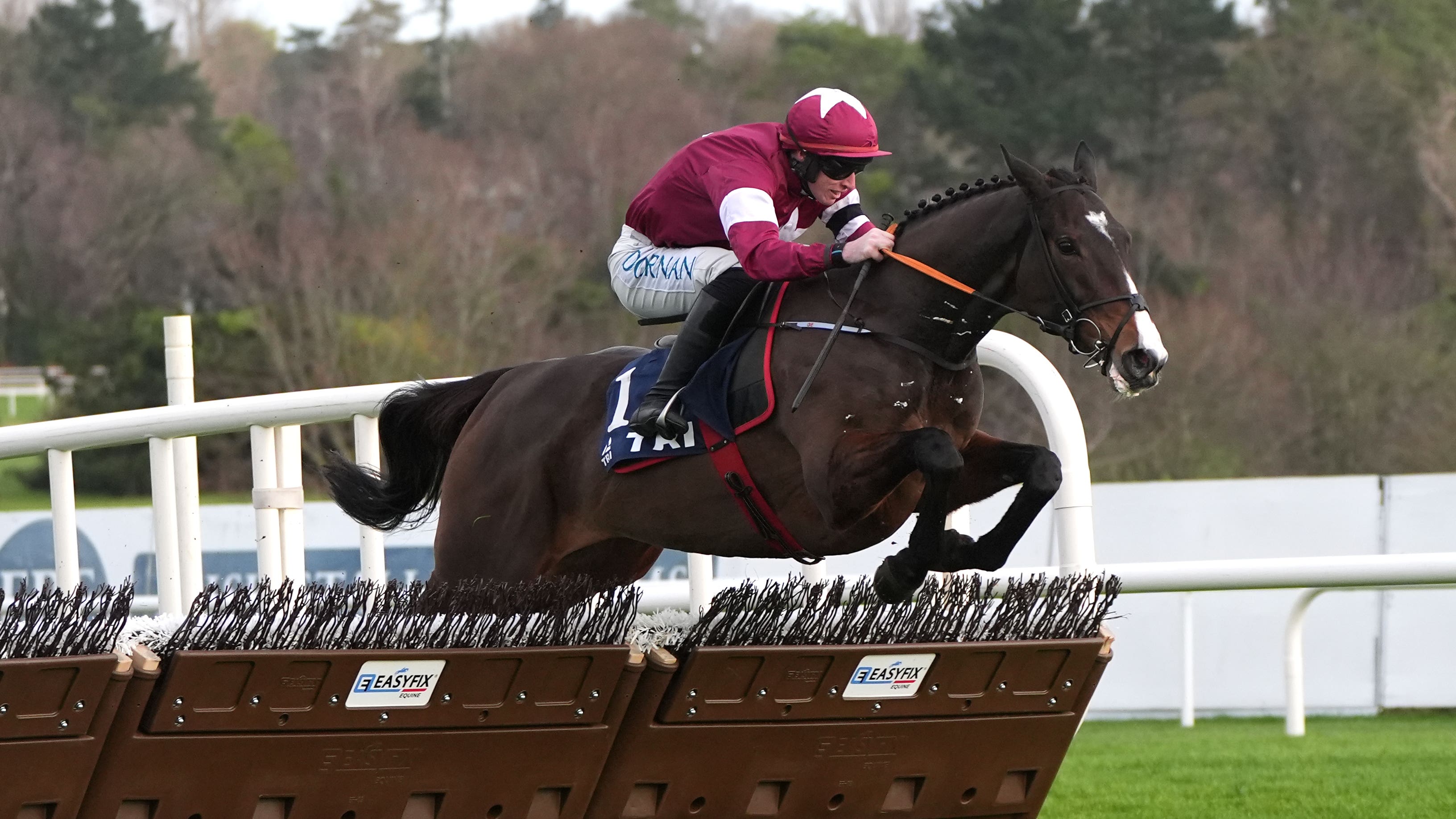 Ballyfad aiming to give Elliott a fifth successive Mersey win