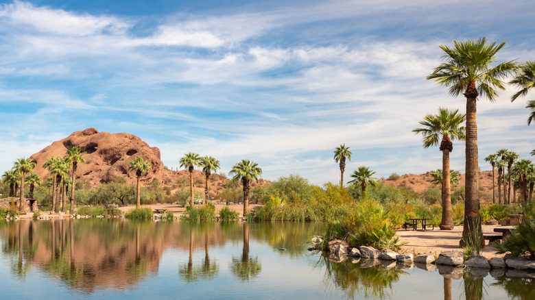 5 easy, accessible nature trails in Phoenix, Arizona