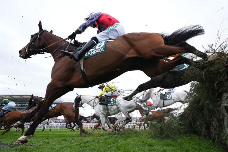 Jockey Derek Fox taken to hospital after Ladies Day race